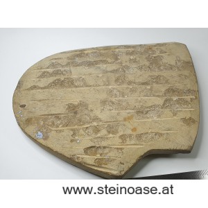 Fossile Skulptur 